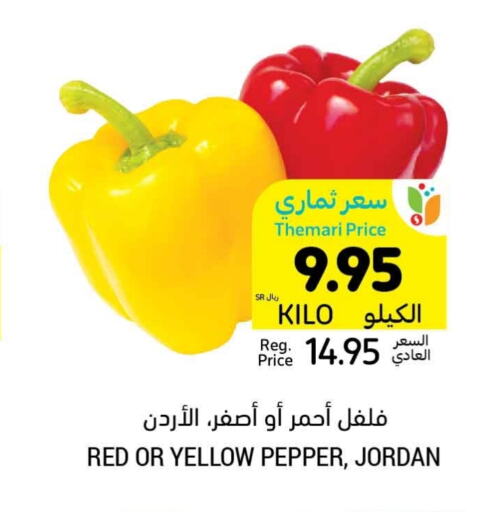  Chilli / Capsicum  in أسواق التميمي in مملكة العربية السعودية, السعودية, سعودية - حفر الباطن