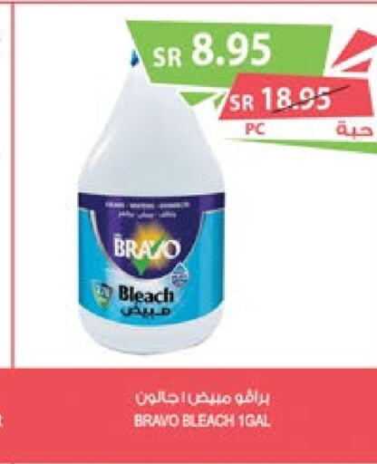  Bleach  in Farm  in KSA, Saudi Arabia, Saudi - Najran