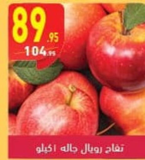  Apples  in محمود الفار in Egypt - القاهرة