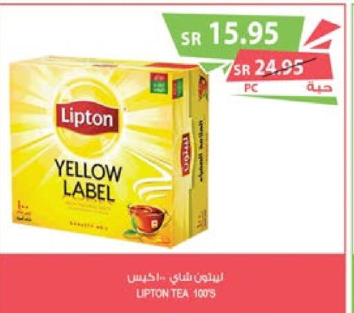 Lipton Tea Bags  in Farm  in KSA, Saudi Arabia, Saudi - Al Bahah