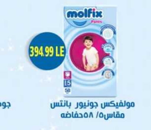 MOLFIX   in Euromarche in Egypt - Cairo