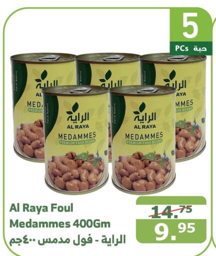  Fava Beans  in Al Raya in KSA, Saudi Arabia, Saudi - Khamis Mushait