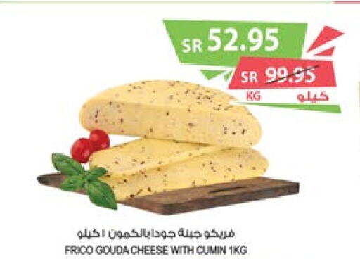  Gouda  in Farm  in KSA, Saudi Arabia, Saudi - Najran