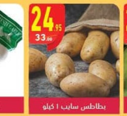  Potato  in محمود الفار in Egypt - القاهرة