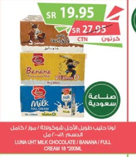 LUNA Long Life / UHT Milk  in Farm  in KSA, Saudi Arabia, Saudi - Khafji