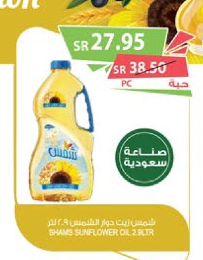 SHAMS Sunflower Oil  in Farm  in KSA, Saudi Arabia, Saudi - Al Khobar