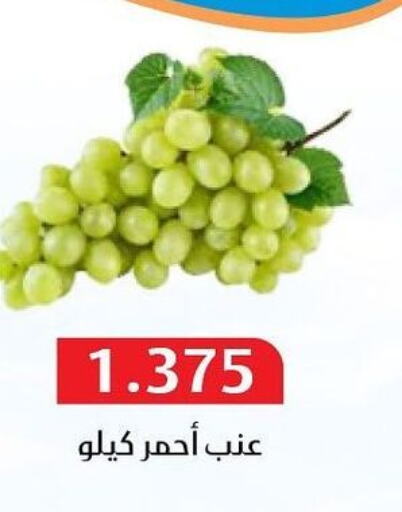  Grapes  in Al Masayel co-op  in Kuwait - Kuwait City