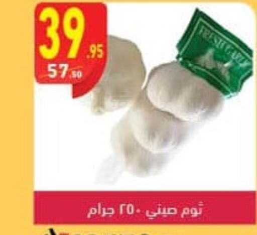  Garlic  in محمود الفار in Egypt - القاهرة