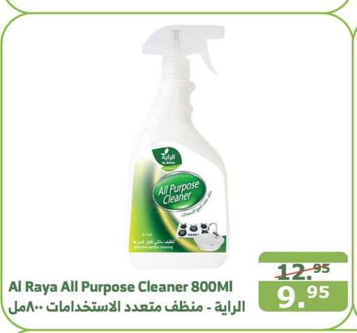  General Cleaner  in Al Raya in KSA, Saudi Arabia, Saudi - Al Qunfudhah