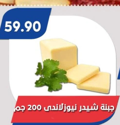  Cheddar Cheese  in Bassem Market in Egypt - Cairo