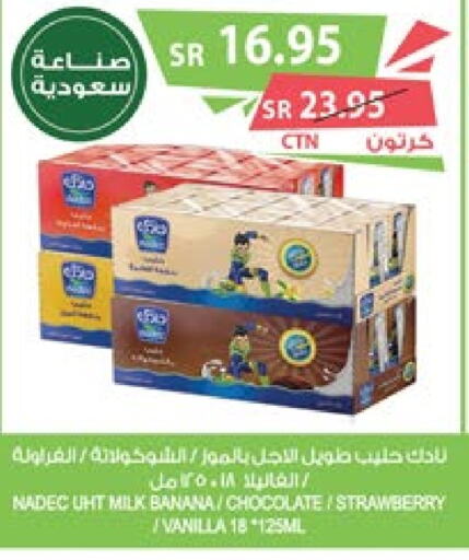 NADEC Long Life / UHT Milk  in Farm  in KSA, Saudi Arabia, Saudi - Najran