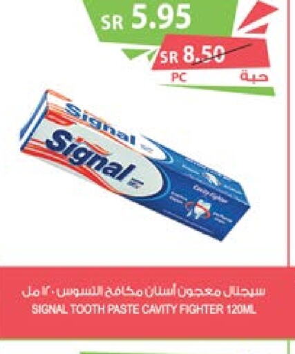 SIGNAL Toothpaste  in Farm  in KSA, Saudi Arabia, Saudi - Al Khobar