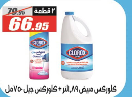 CLOROX منظف عام  in الفرجاني هايبر ماركت in Egypt - القاهرة