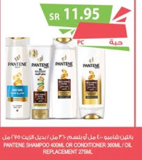 PANTENE شامبو / بلسم  in المزرعة in مملكة العربية السعودية, السعودية, سعودية - نجران