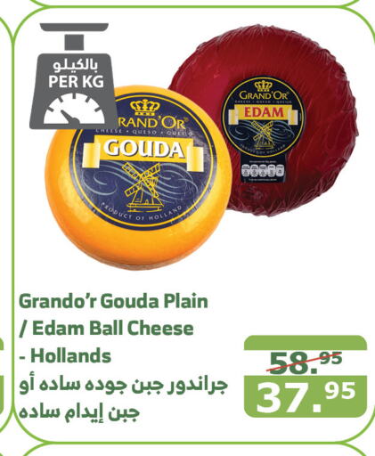 GRAND‘OR Gouda  in Al Raya in KSA, Saudi Arabia, Saudi - Najran