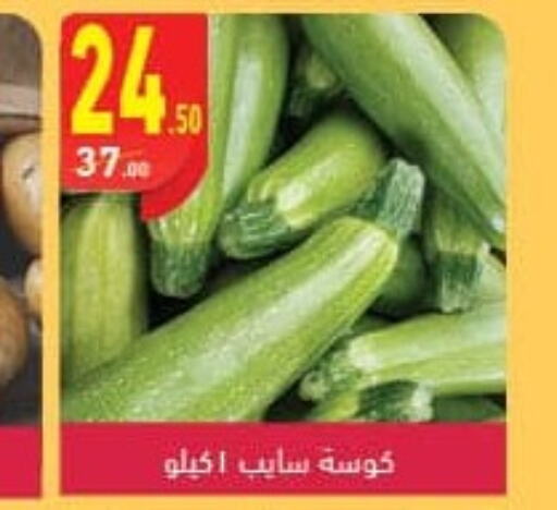  Zucchini  in محمود الفار in Egypt - القاهرة