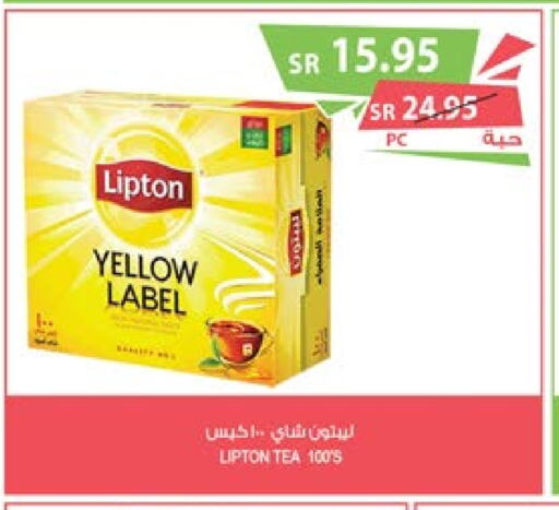 Lipton Tea Bags  in Farm  in KSA, Saudi Arabia, Saudi - Sakaka