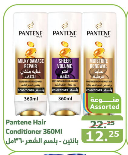 PANTENE Shampoo / Conditioner  in Al Raya in KSA, Saudi Arabia, Saudi - Mecca