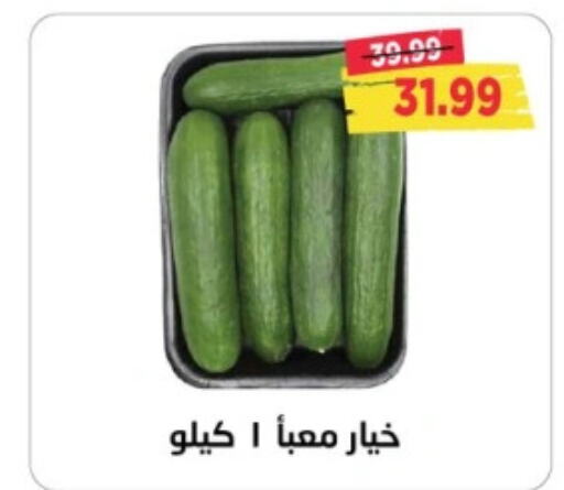  Cucumber  in مترو ماركت in Egypt - القاهرة