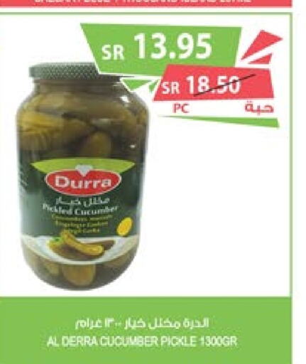 DURRA Pickle  in Farm  in KSA, Saudi Arabia, Saudi - Dammam