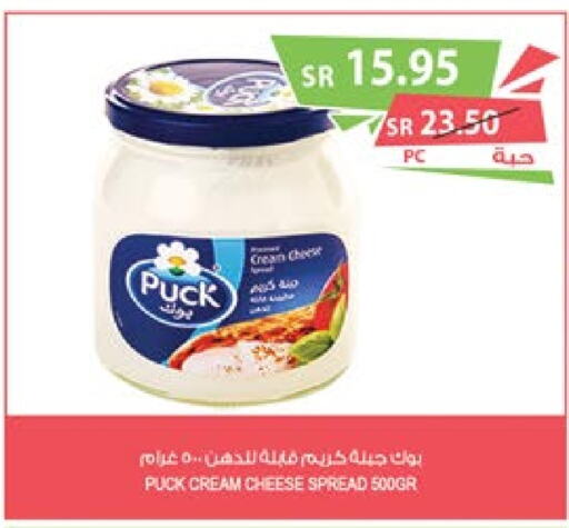 PUCK Cream Cheese  in Farm  in KSA, Saudi Arabia, Saudi - Jazan