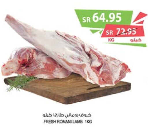  Mutton / Lamb  in Farm  in KSA, Saudi Arabia, Saudi - Najran