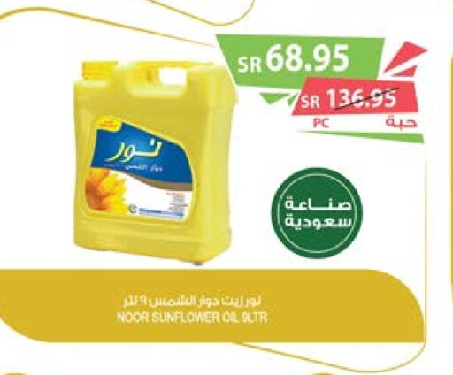 NOOR Sunflower Oil  in Farm  in KSA, Saudi Arabia, Saudi - Al Khobar