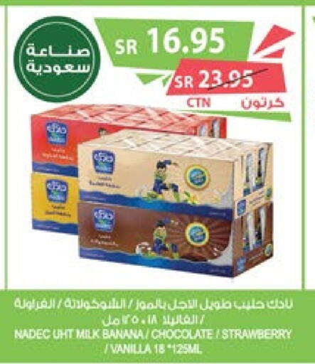 NADEC Long Life / UHT Milk  in Farm  in KSA, Saudi Arabia, Saudi - Khafji