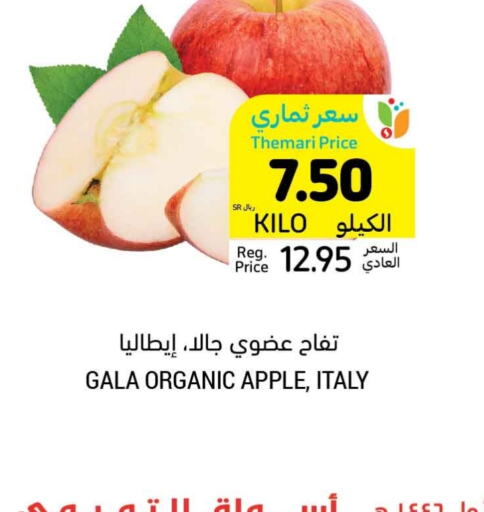  Apples  in Tamimi Market in KSA, Saudi Arabia, Saudi - Hafar Al Batin