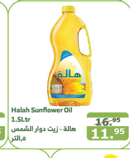 HALAH Sunflower Oil  in Al Raya in KSA, Saudi Arabia, Saudi - Mecca