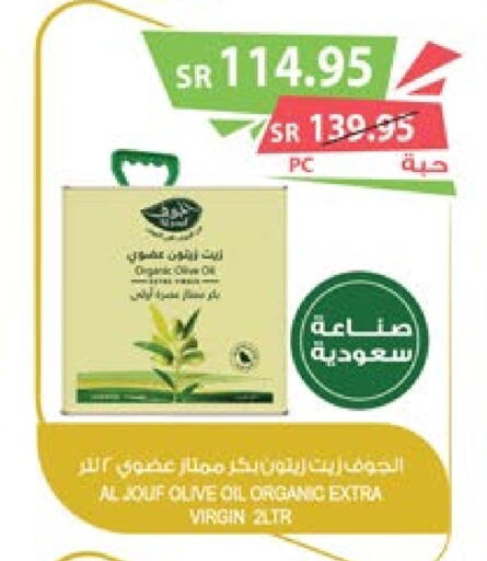  Virgin Olive Oil  in Farm  in KSA, Saudi Arabia, Saudi - Yanbu