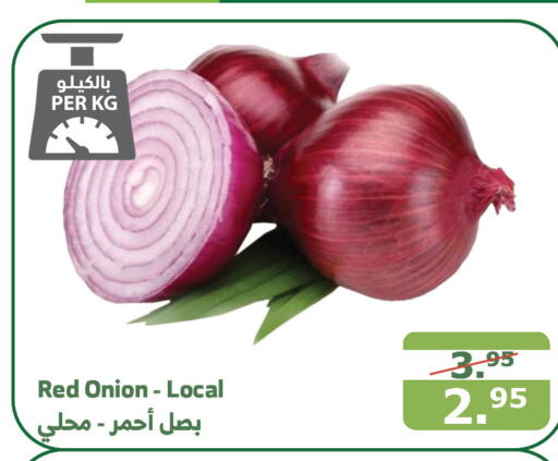  Onion  in Al Raya in KSA, Saudi Arabia, Saudi - Mecca