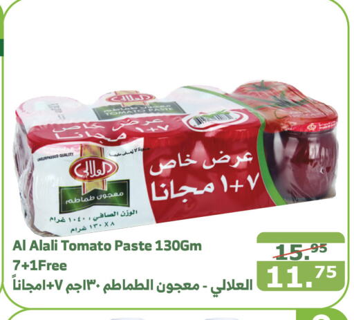 AL ALALI Tomato Paste  in Al Raya in KSA, Saudi Arabia, Saudi - Al Qunfudhah