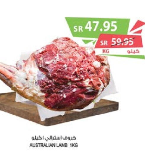  Mutton / Lamb  in Farm  in KSA, Saudi Arabia, Saudi - Khafji