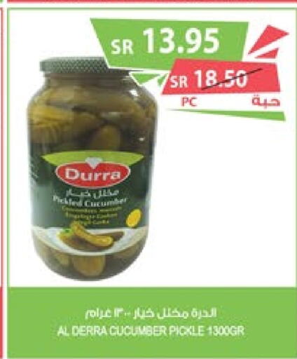 DURRA Pickle  in المزرعة in مملكة العربية السعودية, السعودية, سعودية - تبوك