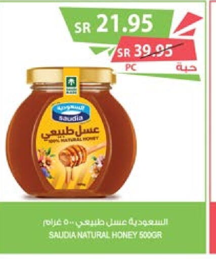 SAUDIA Honey  in Farm  in KSA, Saudi Arabia, Saudi - Tabuk