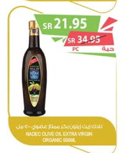 NADEC Virgin Olive Oil  in Farm  in KSA, Saudi Arabia, Saudi - Al Khobar