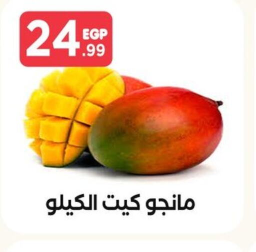 Mango Mango  in El Mahlawy Stores in Egypt - Cairo