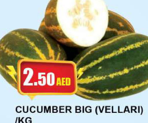  Cucumber  in كويك سوبرماركت in الإمارات العربية المتحدة , الامارات - الشارقة / عجمان