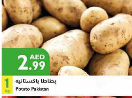  Potato  in إسطنبول سوبرماركت in الإمارات العربية المتحدة , الامارات - ٱلْعَيْن‎