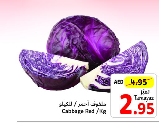 Cabbage