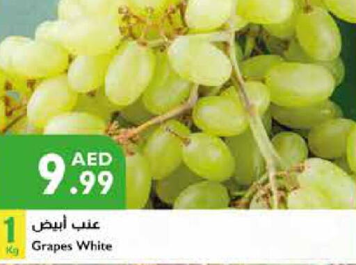  Grapes  in إسطنبول سوبرماركت in الإمارات العربية المتحدة , الامارات - الشارقة / عجمان