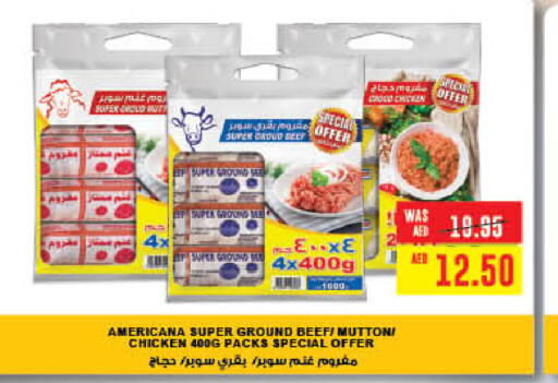 AMERICANA Minced Chicken  in Earth Supermarket in UAE - Sharjah / Ajman