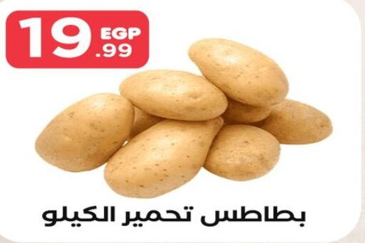  Potato  in مارت فيل in Egypt - القاهرة