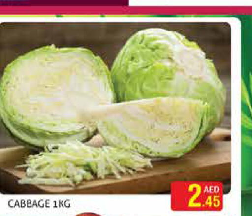  Cabbage  in مركز النخيل هايبرماركت in الإمارات العربية المتحدة , الامارات - الشارقة / عجمان