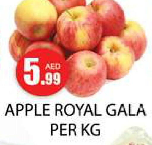  Apples  in Zain Mart Supermarket in UAE - Ras al Khaimah