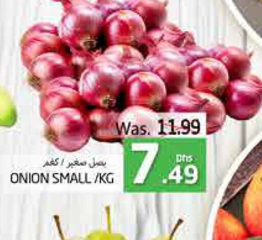  Onion  in PASONS GROUP in UAE - Al Ain