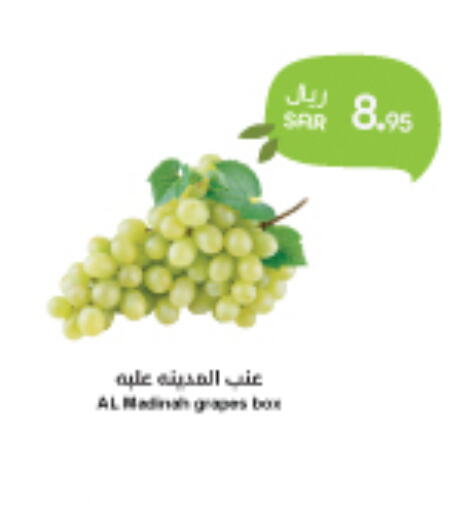  Grapes  in واحة المستهلك in مملكة العربية السعودية, السعودية, سعودية - الخبر‎