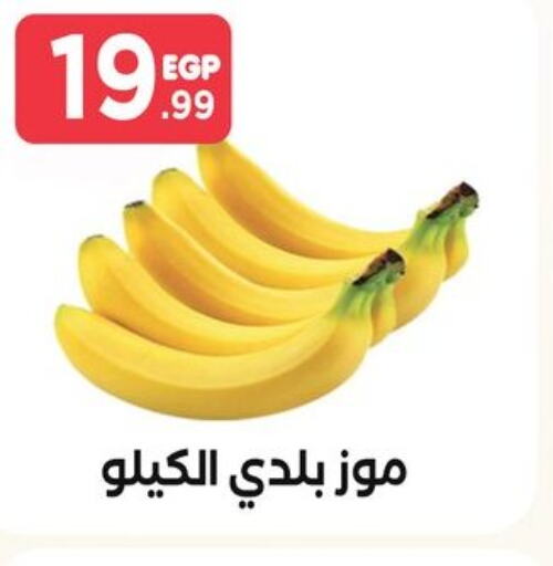  Banana  in مارت فيل in Egypt - القاهرة