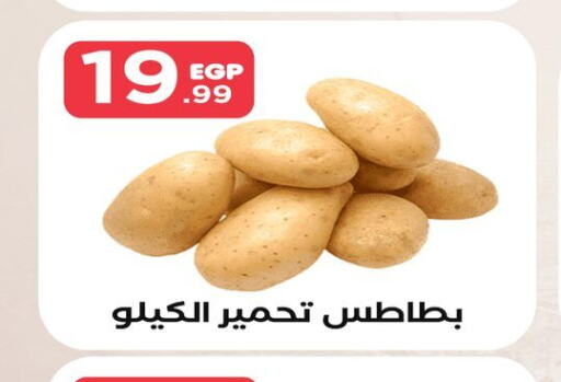  Potato  in المحلاوي ستورز in Egypt - القاهرة